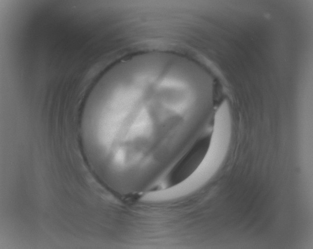 X0000081370673200702082347