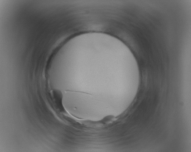 X0000081370674200702082347