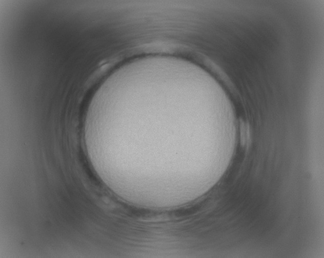 X0000081370675200702082347