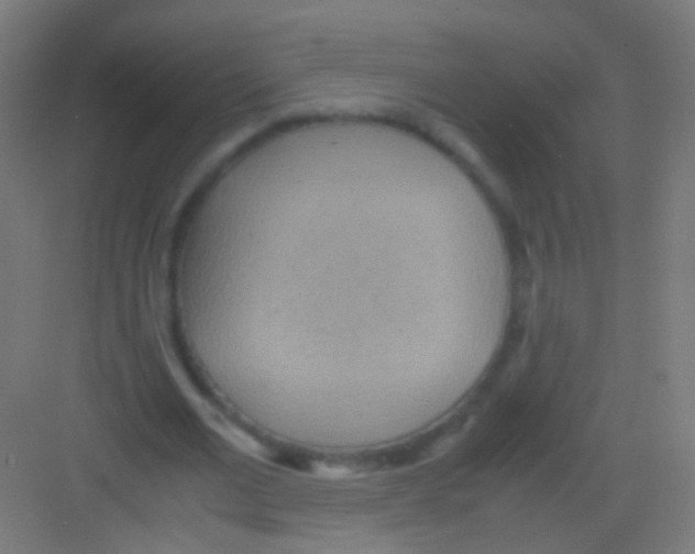 X0000081370677200702082347