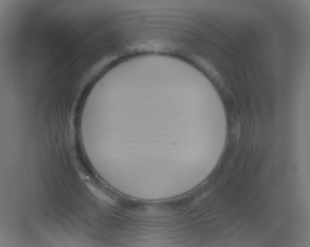 X0000081370678200702082347