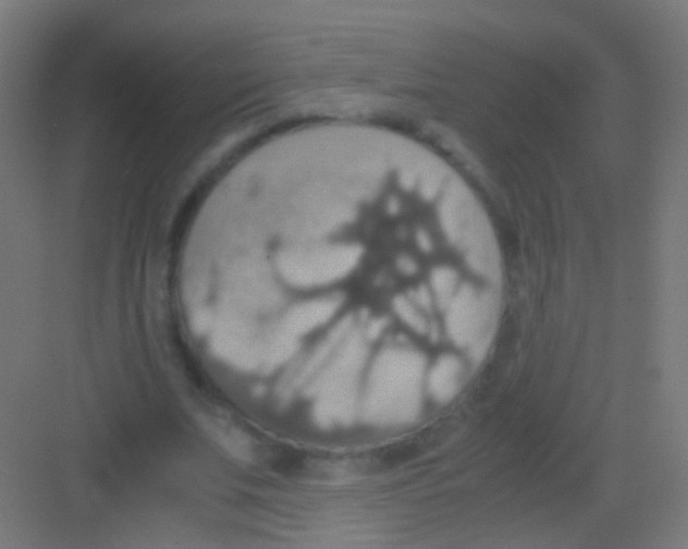 X0000081370679200702082347