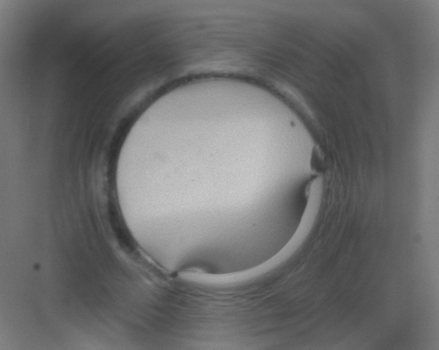 X0000081370680200702082347