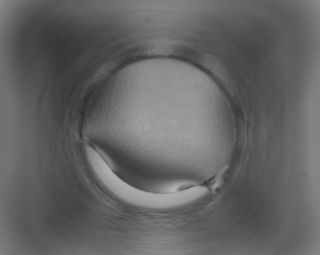 X0000081370681200702082347