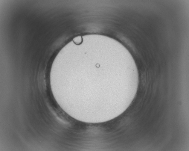 X0000081370682200702082347