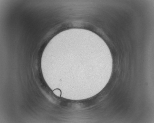 X0000081370683200702082347