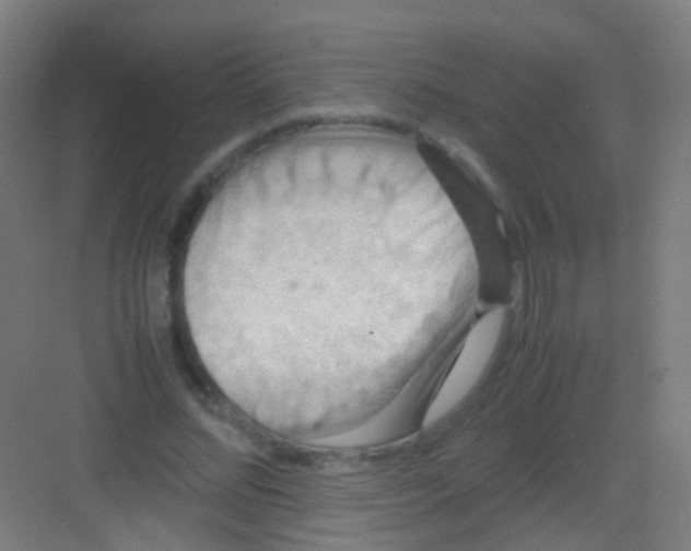 X0000081370684200702082347