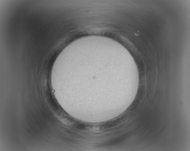 X0000081370687200702082347