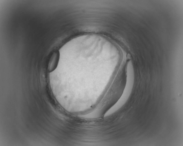 X0000081370688200702082347