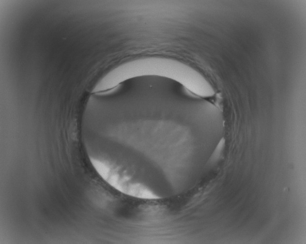 X0000081370689200702082346