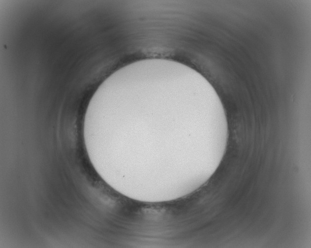 X0000081370690200702082346