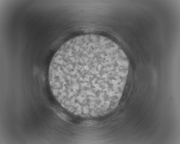 X0000081370691200702082346