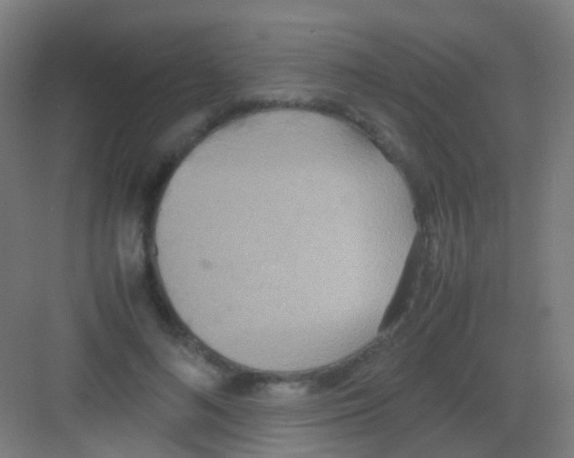 X0000081370692200702082346