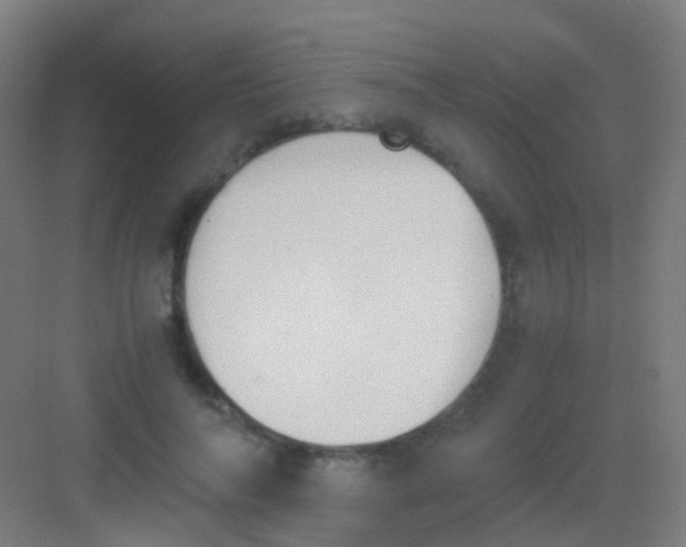 X0000081370694200702082346