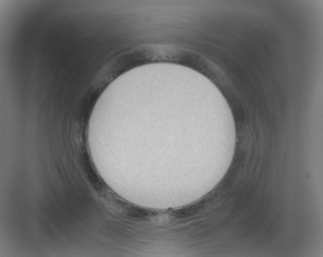 X0000081370695200702082346