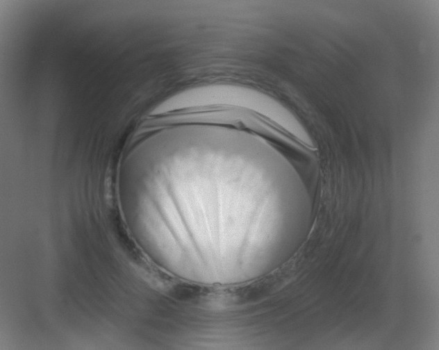 X0000081370696200702082346