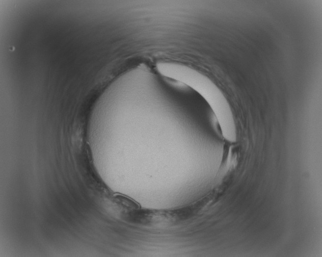 X0000081370697200702082346