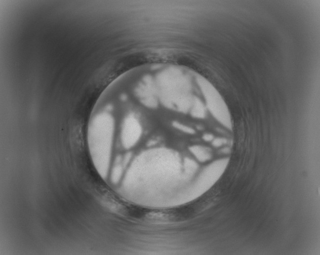 X0000081370699200702082346