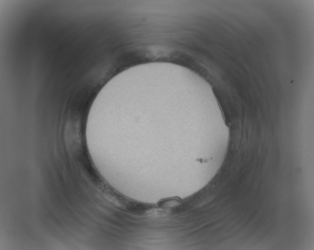 X0000081370700200702082346