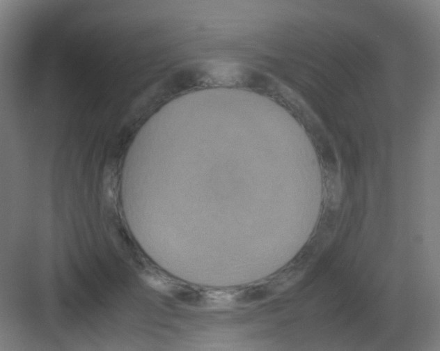 X0000081370701200702082346