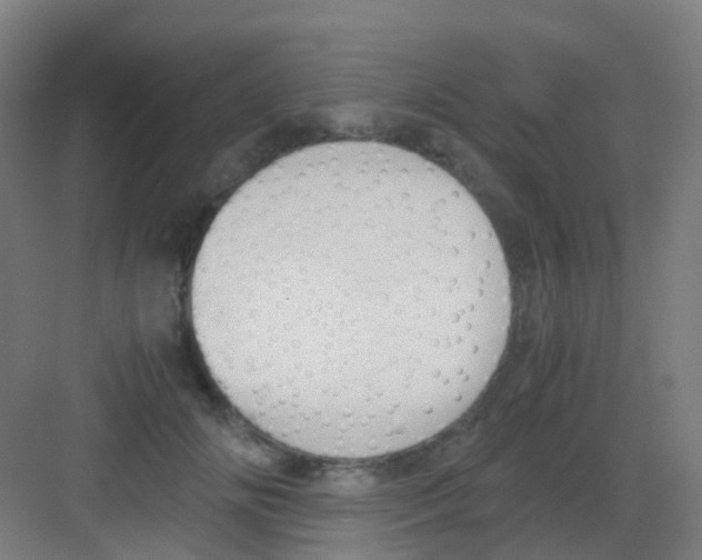 X0000081370702200702082346