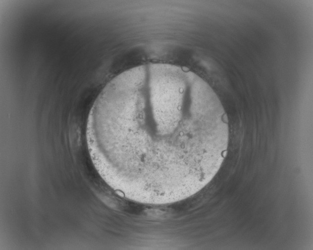 X0000081370703200702082346