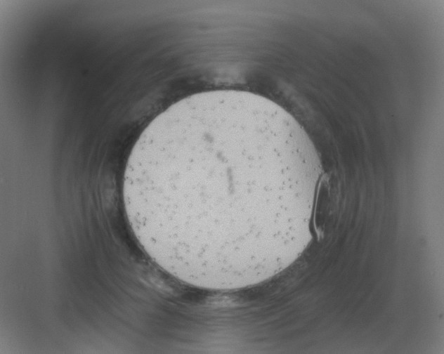 X0000081370704200702082346