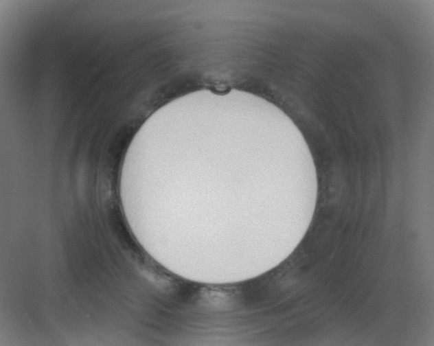 X0000081370706200702082346