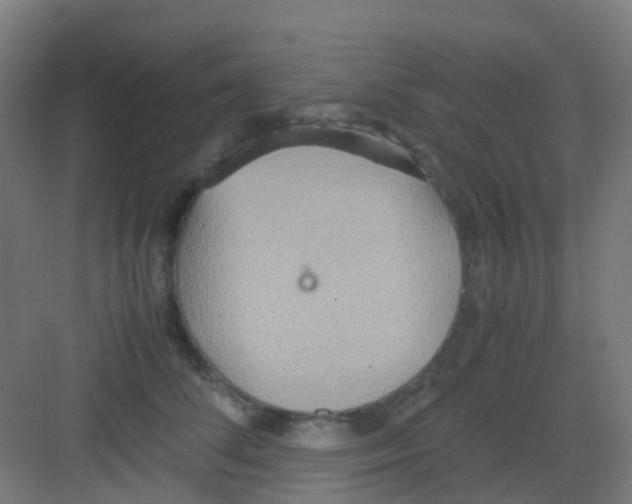 X0000081370708200702082346