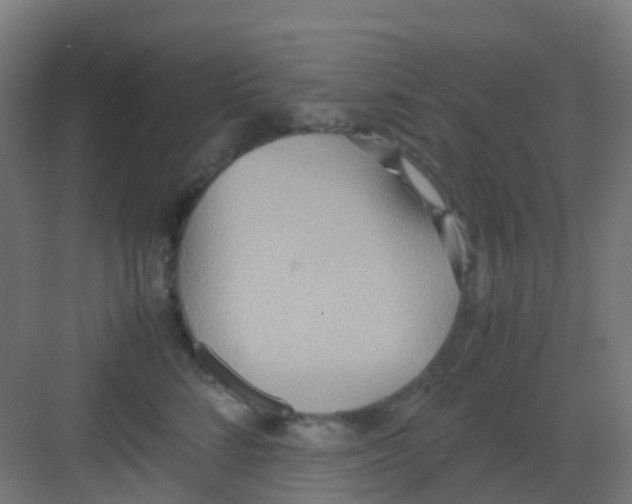 X0000081370712200702082346