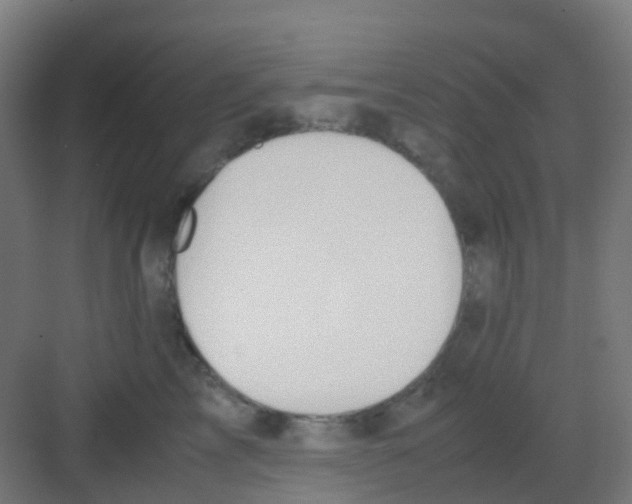 X0000081370713200702082346