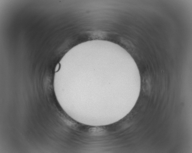 X0000081370714200702082346