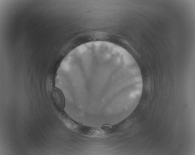 X0000081370715200702082346