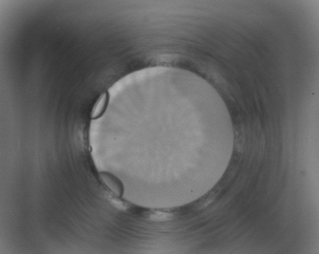 X0000081370718200702082346