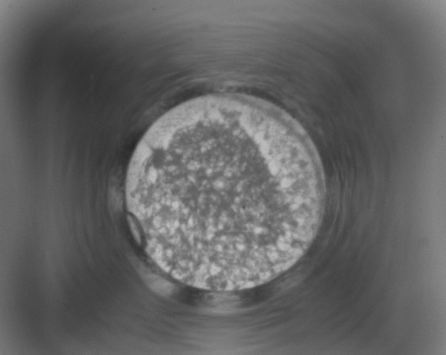 X0000081370719200702082346