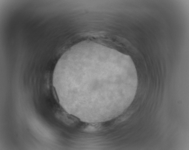 X0000081370720200702082346