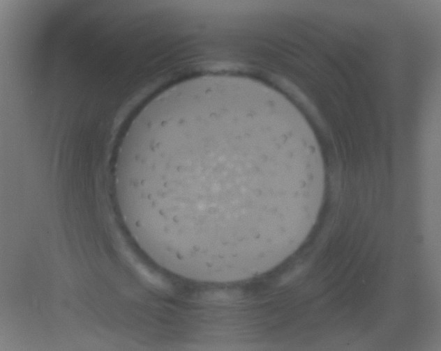 X0000081370721200702082345