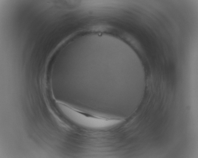 X0000081370722200702082345