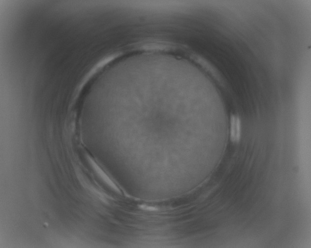 X0000081370723200702082345