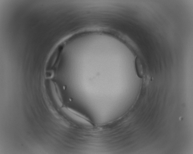 X0000081370724200702082345