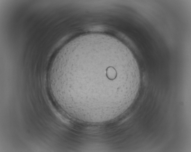 X0000081370725200702082345