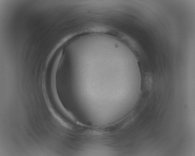 X0000081370726200702082345