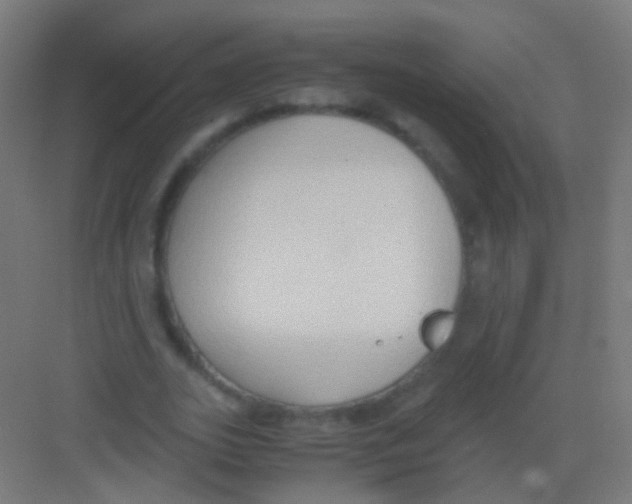 X0000081370727200702082345