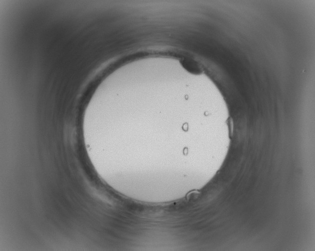 X0000081370728200702082345