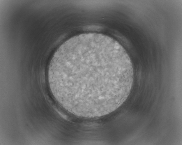 X0000081370729200702082345