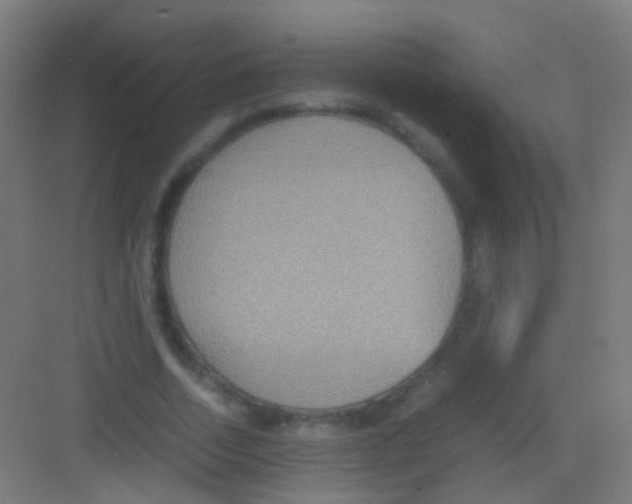 X0000081370730200702082345