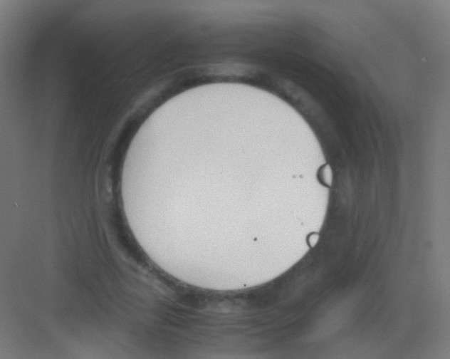 X0000081370731200702082345