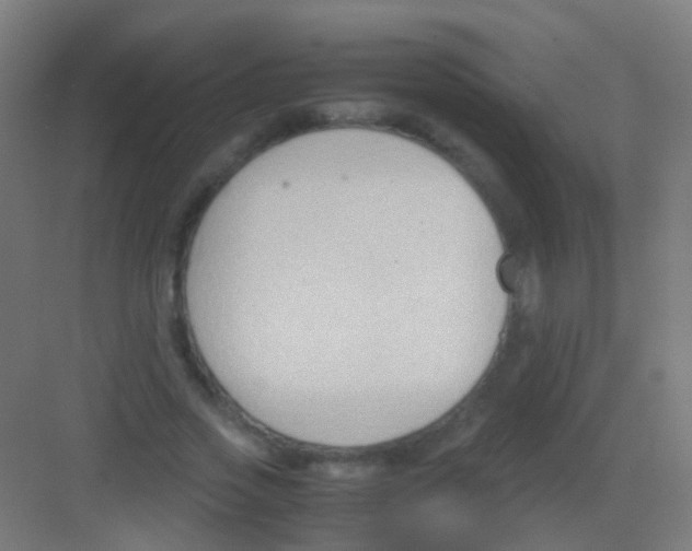 X0000081370733200702082345