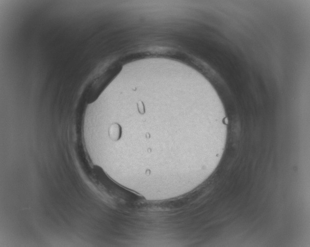 X0000081370734200702082345