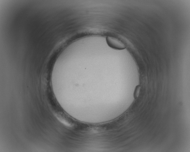 X0000081370736200702082345